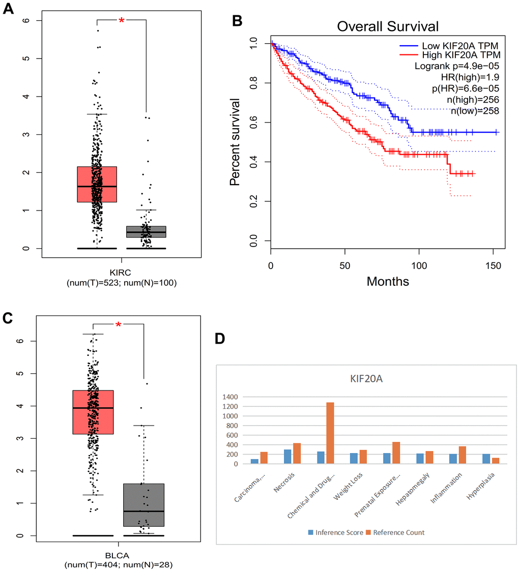 (A) Box plot of KIRC. (B) Survival curve. (C) Box plot of BLCA. (D) Histogram of CTD.