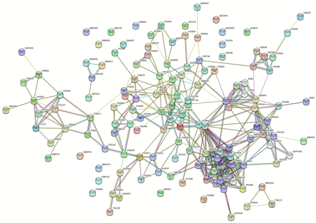 The PPI regulation network of down-regulated proteins in the PSCI group.
