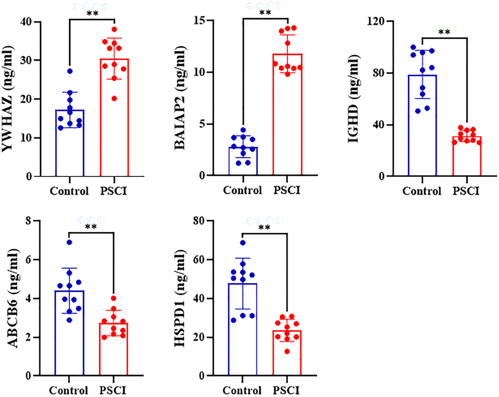 Plasma levels of human 14-3-3 protein zeta/delta (YWHAZ), human Brain-Specific Angiogenesis Inhibitor 1-Associated Protein 2 (BAIAP2), human IgD (IGHD), human ATP Binding Cassette Subfamily B Member 6, Mitochondrial (ABCB6), and human Heat Shock Protein 60 HSPD1 in patients with and without post stroke cognitive impairment.