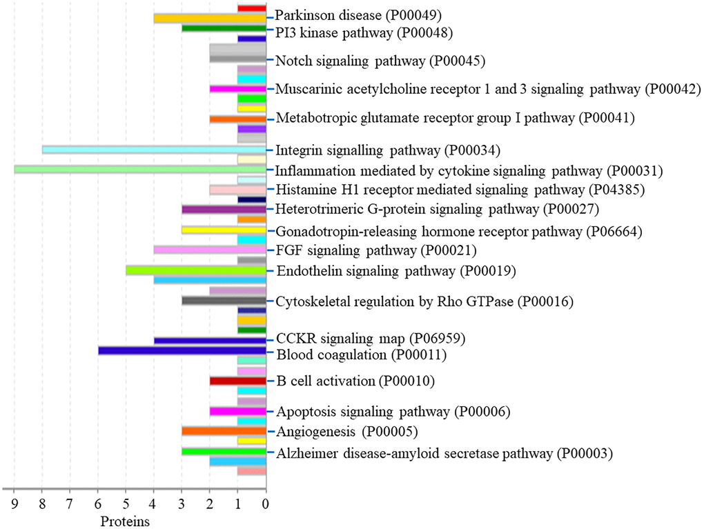 The pathway of up-regulated proteins in the PSCI group.