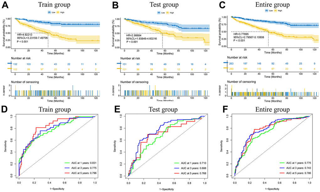 The model prediction effect is validated by the training group, test group, and entire group. K-M analysis (A–C) and Time-dependent ROC curves (D–F) to compare the survival of the high-risk group and low-risk group.