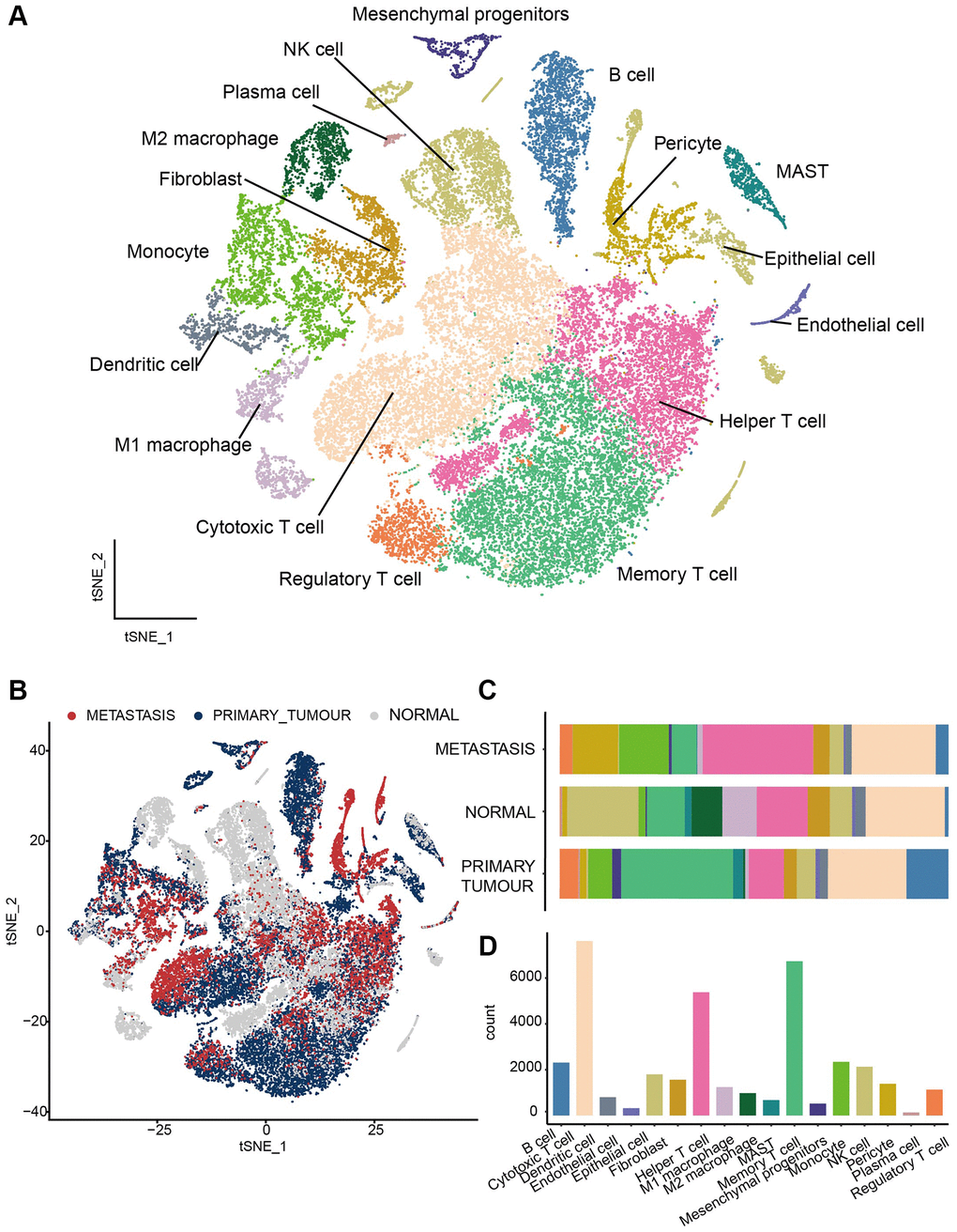 Transcriptome landscape of heterogeneous cell types in LUAD. (A) All the cells were assigned to 17 cell types. (B) The distribution of cell clusters among three groups, including primary tumors, metastasis lesions and normal tissues. (C) The fraction of immune cell types in different sample classes. (D) Histogram to visual Cell numbers in each cell type.