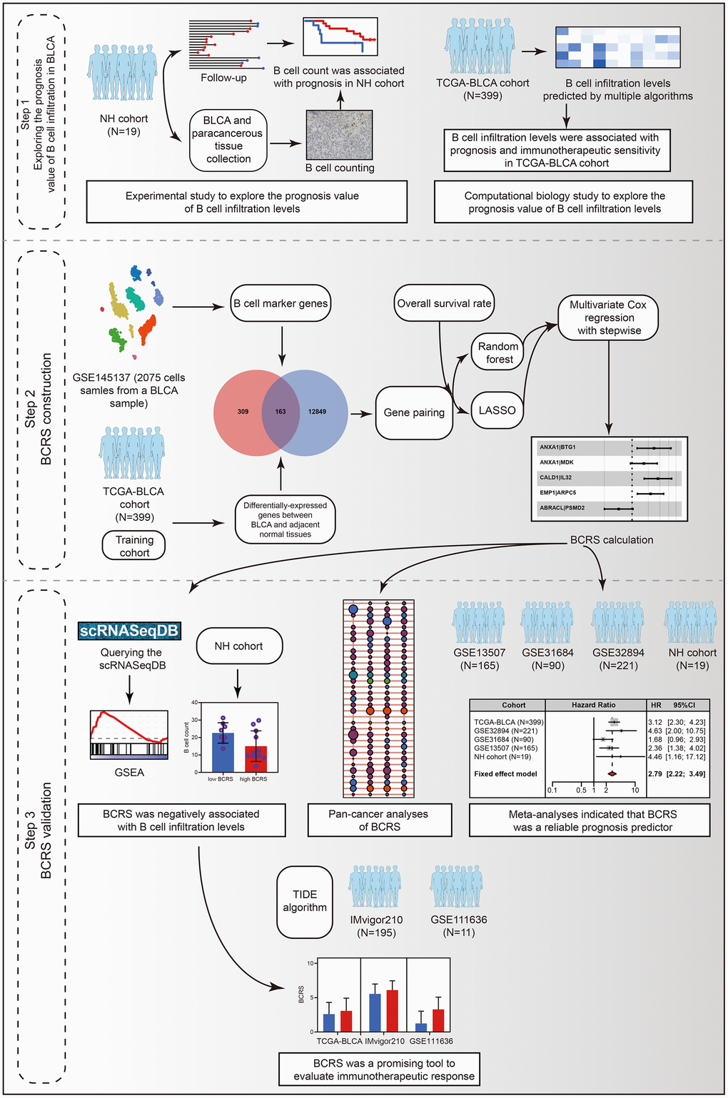 The workflow of the present study.