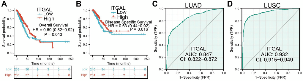 Prognosis of ITGAL in NSCLC. (A, B) OS and DSS of ITGAL in NSCLC. (C, D) Diagnostic value of ITGAL in NSCLC.