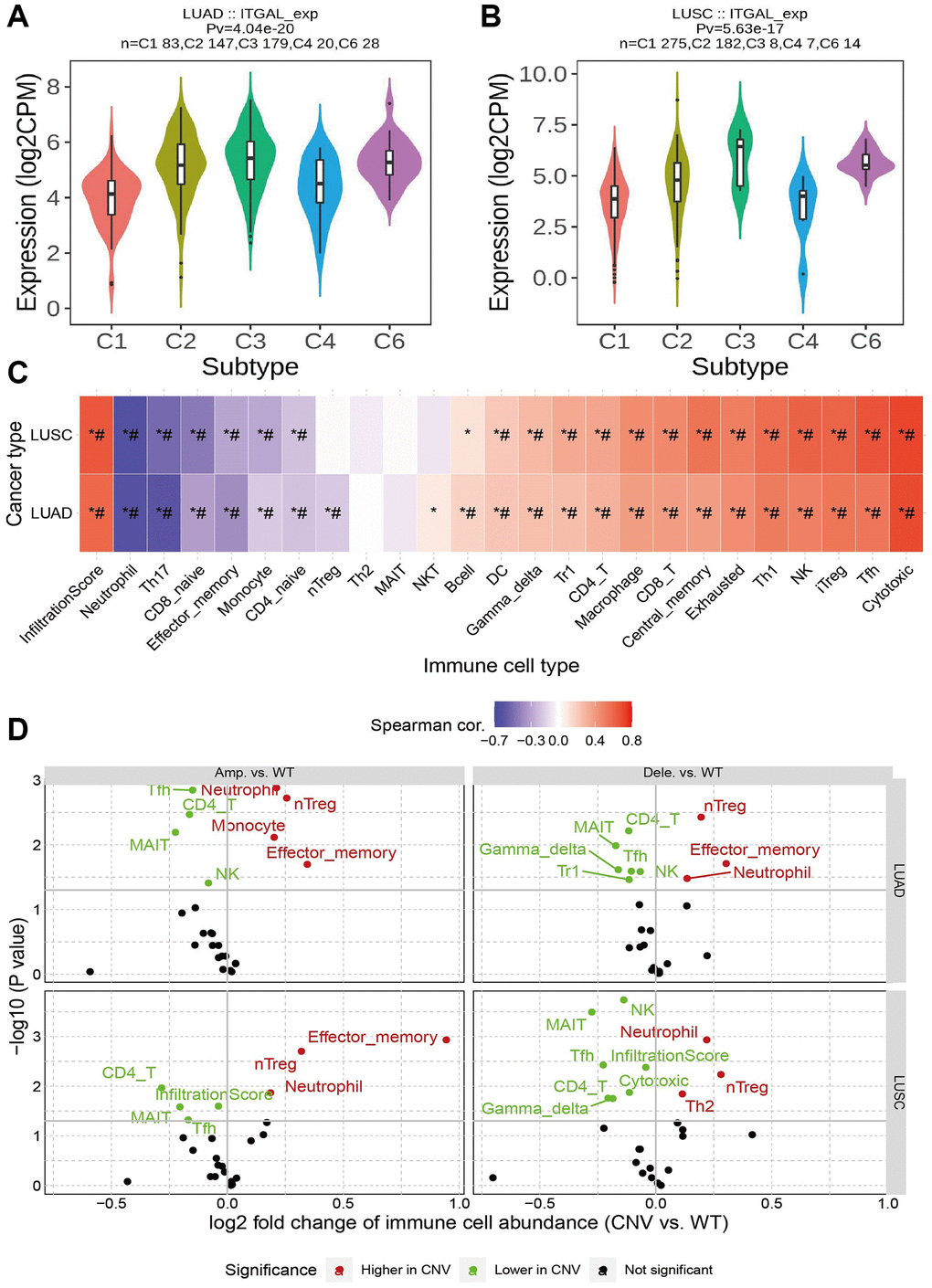 The expression of the ITGALin immune subtype. (A, B) The expression of ITGALin immune subtype of NSCLC. (C, D) Relation between ITGAL CNV and immune cell in NSCLC. *p 