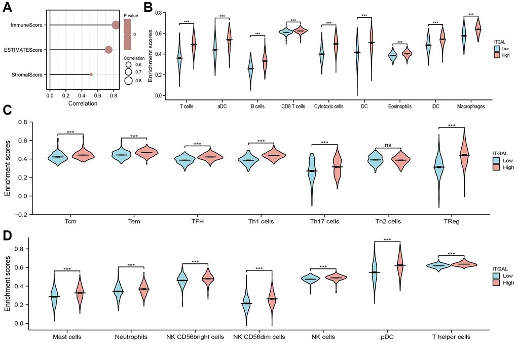 Correlation between ITGAL expression and immune infiltrates. (A) ITGAL expression was positively correlated with NSCLC immune scores, stromal scores, and ESTIMATE scores (B–D) The abundance of immune infiltrates of diverse immune cells based on the ITGAL high or low expression group. NS > 0.05 and ***p 