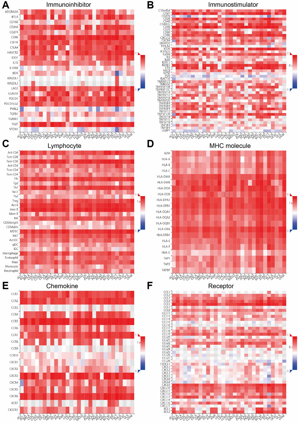 Correlation between ITGAL expression and immune modulator. (A–F) ITGAL expression was significantly positively related to the immune modulator, including the tumor-infiltrating lymphocytes (TILs), immune inhibitor, immunostimulator, MHC molecule, and chemokines as well as its receptors.