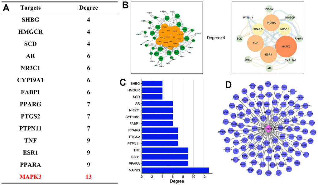 Target analysis of Antcin A and liver injury. (A) After target screening between Antcin A and liver injury, the core targets were mainly related to MAPK3 and TNF, and were closely associated with anti-inflammation. (B, C) Analysis of target screening and enrichment was mainly related to 6 core targets. (D) There were 73 Antcin A-related targets.