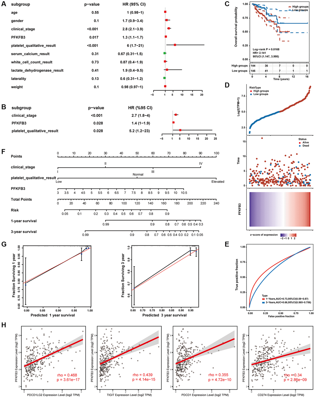 Establishment and evaluation of prognostic risk models. (A) Univariate Cox regression analysis. (B) Multivariate Cox regression analysis. (C) The survival status in high PFKFB3 expression groups compared with low PFKFB3 expression groups. (D) The distribution of risk score, the distribution of OS status, and the heatmap of PFKFB expression after risk score grouping. (E) Receiver operating characteristic (ROC) curve analysis. (F) The risk prognostic model was established based on prognostic factors of clinical