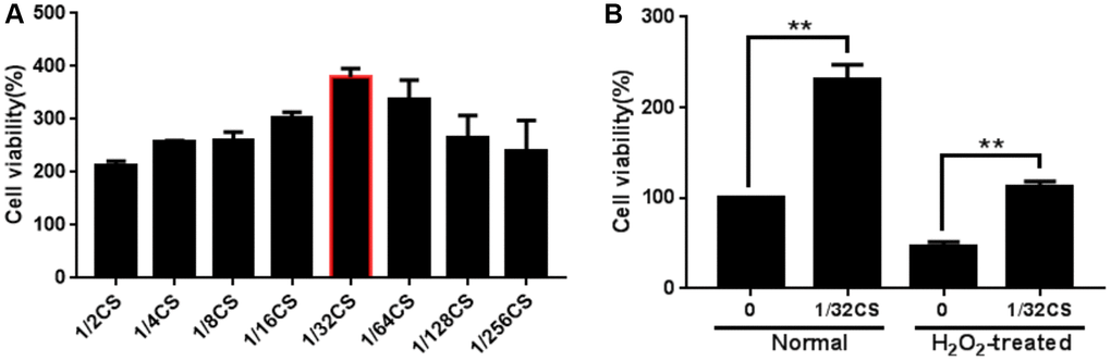 CS enhances the proliferation of ADSCs. (A, B) The ADSCs were treated with at the indicated doses. (A) The cell proliferation was analyzed by CCK-8 assays in the cells. (B) The H2O2-treated ADSCs were treated with CS at the indicated doses. The cell proliferation was assessed by CCK-8 assays in the cells. Data are presented as mean ± SD. Statistic significant differences were indicated: *P **P 