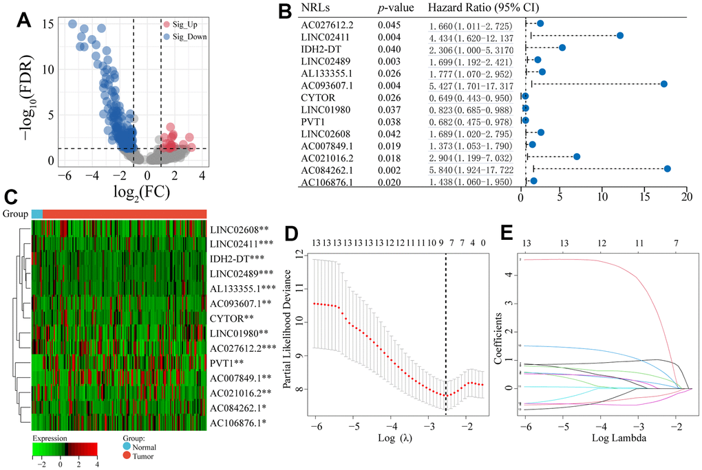 Differentially co-expressed NRLs and LASSO regression. (A) The volcano plot of the significant differential expression of NRLs. (B, C) A forest plot and a heatmap of the 14 prognostic NRLs. (D) Ten-fold cross-validation for error rate. (E) Least absolute shrinkage and selection operator regression. Asterisks (*) stand for significance levels, ** p 