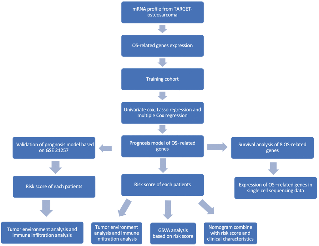 Flowchart of this study.