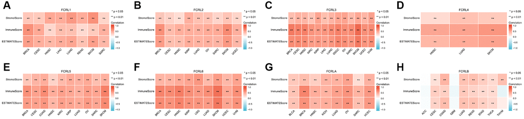 Correlation between FCRL family gene expression and tumor purity in cancers impacting OS. Correlations between (A) FCRL1, (B) FCRL2, (C) FCRL3, (D) FCRL4, (E) FCRL5, (F) FCRL6, (G) FCRLA, (H) FCRLB expression and Stromalscore, Immune score, and ESTIMATE score. ∗p ∗∗p 