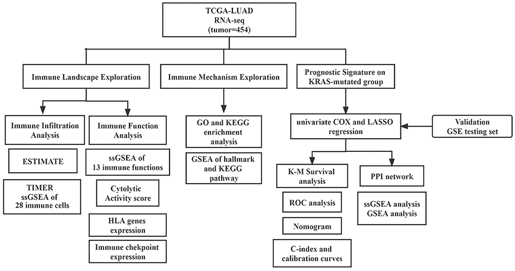 Flowchart of this study.