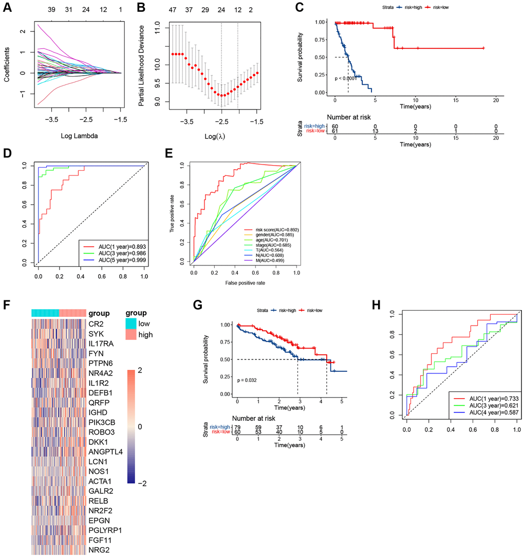 The plots of LASSO, survival analyses, and AUC in the KRAS-mutated group of training set and validating set. (A, B) The plots of LASSO analysis. (C) The KM curve in the KRAS-mutated group. (D) The time-dependent ROC curves in the KRAS-mutated group. (E) The clinicopathologic ROC curves in the KRAS-mutated group. (F) The heatmap of the expression values of the prognostic immune-related genes. (G) The KM curve in the KRAS-mutated group of validating set. (H) The time-dependent ROC curves in the KRAS-mutated group of validating set.