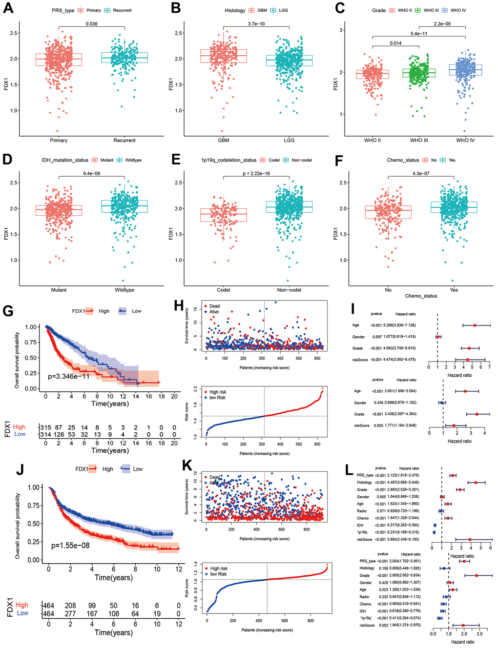 Association between FDX1 and prognosis in glioma. (A–F) Comparison of FDX1 expression levels based on different tumor types, histology, grade, IDH mutation status, 1p19q codeletion status, and chemotherapy status. (G, H) Kaplan-Meier curves from TCGA data indicate that high FDX1 expression is associated with poor prognosis. (I) Univariate and multivariate Cox regression performed using TCGA data show FDX1 to be an independent prognostic factor in glioma. (J, K) Kaplan-Meier curves from CGGA data show high FDX1 expression to be associated with poor prognosis. (L) Univariate and multivariate Cox regression using CGGA data indicate FDX1 to be an independent prognostic factor in glioma.