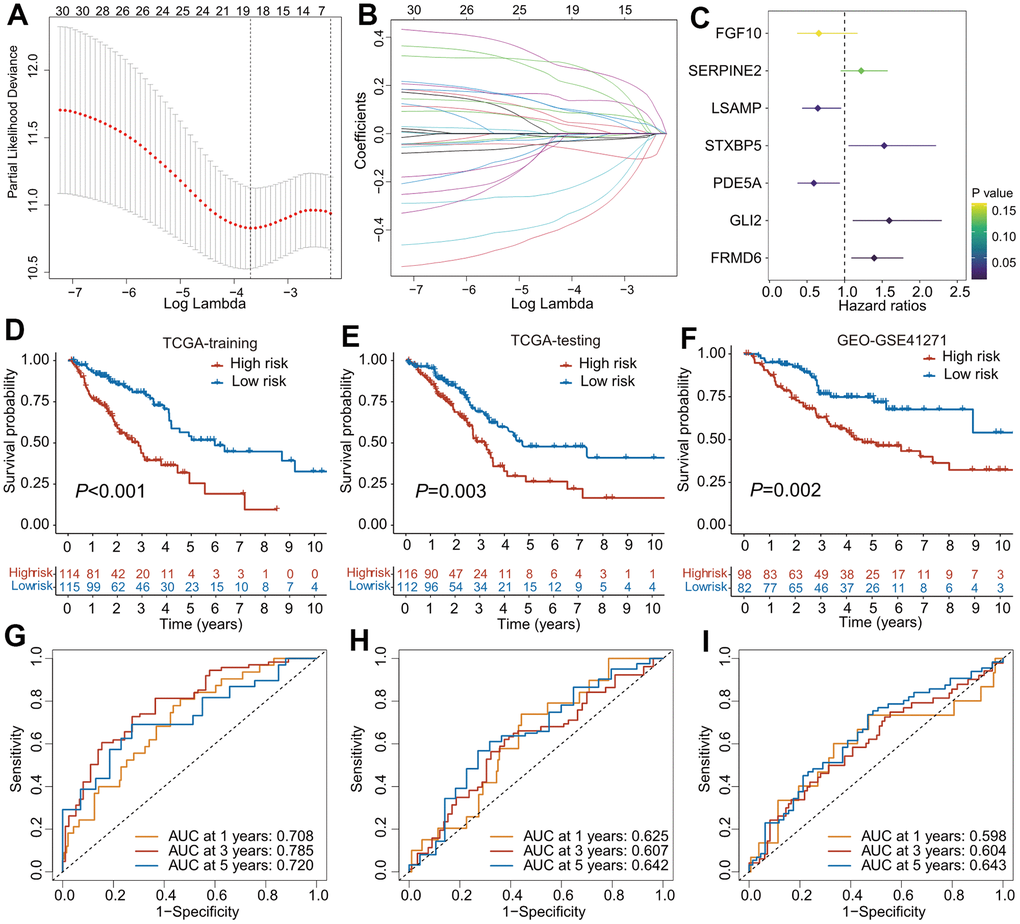 The construction of predictive model for overall survival based on CAFs-related genes. (A) Partial likelihood deviance of variables displayed by the Lasso regression model. The red dotted gray lines and two vertical lines represented the partial likelihood of deviance values, respectively. (B) Lasso coefficient profiles of 30 OS-related genes in TCGA training cohort. (C) Forest plot of CAFs-related risk signature (CAFRS) consisting of 7 genes identified by the multivariate Cox regression model. (D–F) Kaplan-Meier curves of patients from TCGA training, TCGA testing and GEO cohorts stratified by low- and high-risk subgroups. (G–I) Receiver operating characteristic (ROC) curves with 1-, 3-, and 5- year AUC values in the TCGA training, TCGA testing and GEO cohorts.