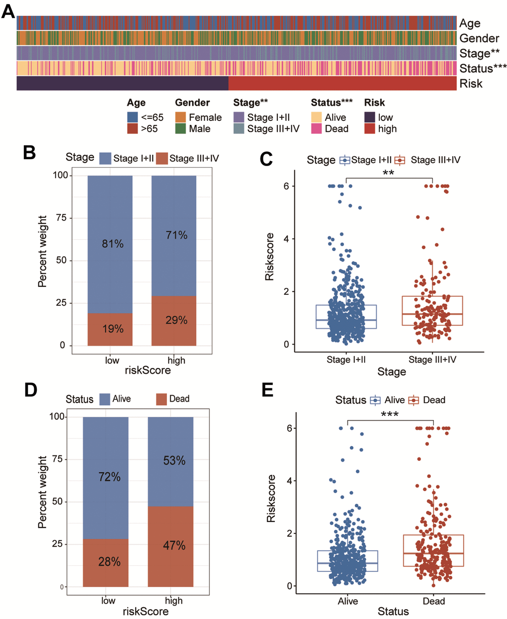 The association of CAFs-related risk signature (CAFRS) with clinicopathologic features. (A) The heatmap illustrating the correlation between CAFRS and Age, Gender, TNM stage and survival status. (B) The fraction of patients with distinct TNM stage in low- and high-risk subgroup. (C) The riskscores between stage I+II and stage III+IV subgroups. (D) The fraction of patients with distinct survival status in low- and high-risk subgroup. (E) The riskscores between alive and dead patients. (**P ***P 