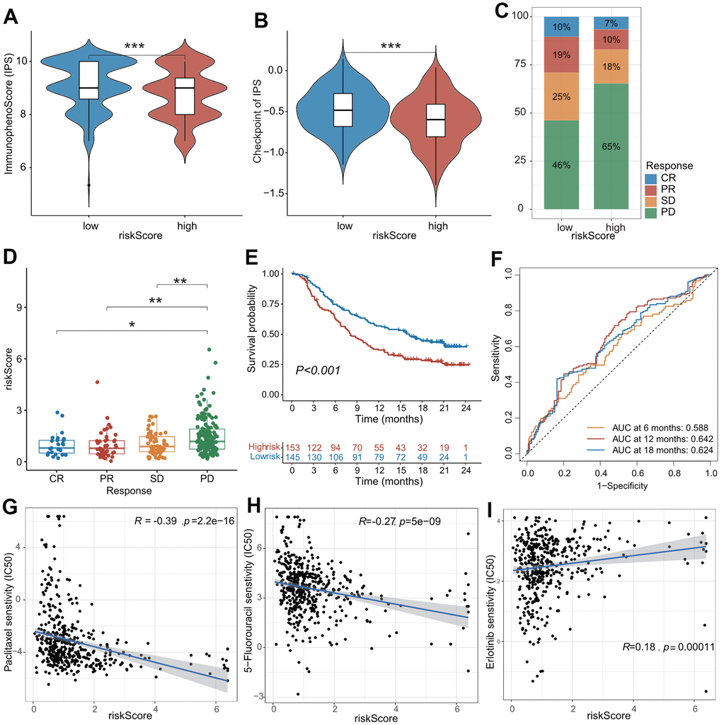 The role of CAFs-related risk signature (CAFRS) in predicting drug response. (A, B) The immunophenotype score (IPS) and one of its constituents-immune checkpoint score between low- and high-risk subgroups from TCGA cohort. (C) The proportion of patients with clinical response to anti-PD-1 immunotherapy in low- and high-risk subgroups from IMvigor210 cohort. SD, stable disease; PD, progressive disease; CR, complete response; PR, partial response. (D) The riskscore of CAFRS in the CR, PR, SD and PD subgroups. (E) Kaplan-Meier curves of patients from IMvigor210 cohort stratified by low- and high-risk subgroups. (F) The ROC curves illustrating the AUC values at 6-, 12- and 18-month. (G–I) The plots illustrating correlations of IC50 values for Paclitaxel, 5-FU and Erlotinib with CAFRS scores in TCGA cohort. (*P **P ***P 