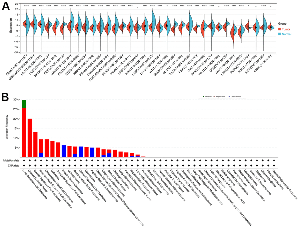 CLDN5 alterations in pan-cancer. (A) The results from TCGA database indicated that CLDN5 expression is reduced in most tumors. (B) Co-occurrence of genetic mutations with CLDN5 alterations in tumors.