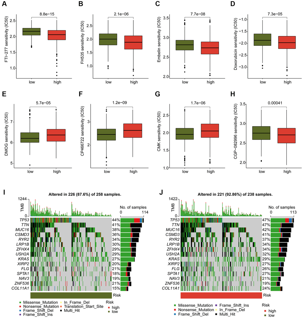 Analysis of chemotherapeutic drugs sensitivity and tumor mutation burden landscape in DAG score subtypes. (A–H) Chemotherapeutic drugs sensitivity analysis of FTI-277, FH535, Embelin, Doxorubicin, CGP-082996, DMOG, CP466722 and CMK in DAG score subtypes. (I, J) Somatic mutation frequency analysis of DAG score subtypes.