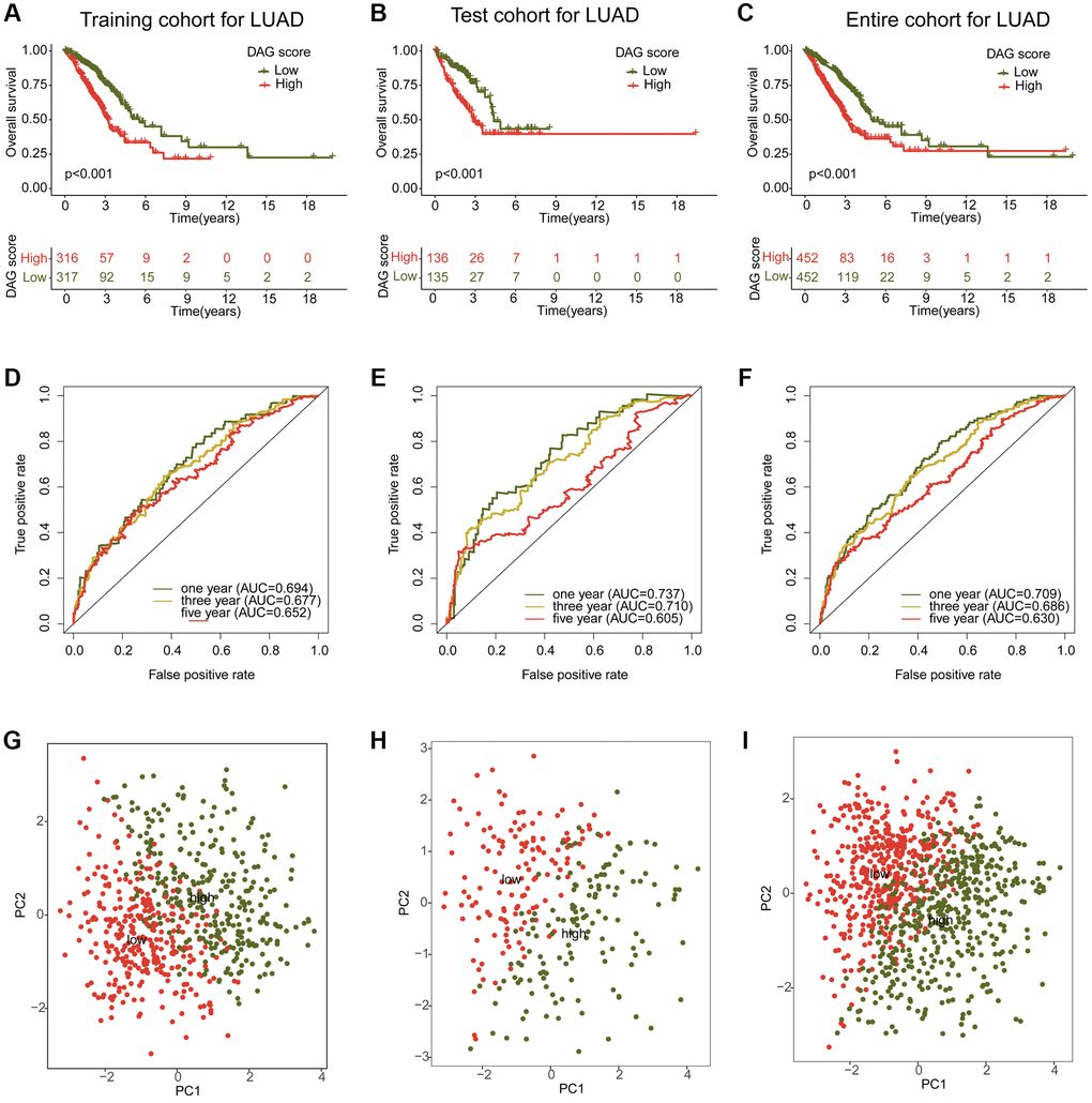 Construction and validation of risk model based on the DAG prognostic signature. (A–C) Clinical survival curve analysis of LAUD samples in the risk subtypes in the training, test and entire cohorts. (D–F) One- three- and five-year’s AUC in the training, test and entire cohorts. (G–I) PCA diagram of LUAD samples with low- and high DAG score in the training, test and entire cohorts.