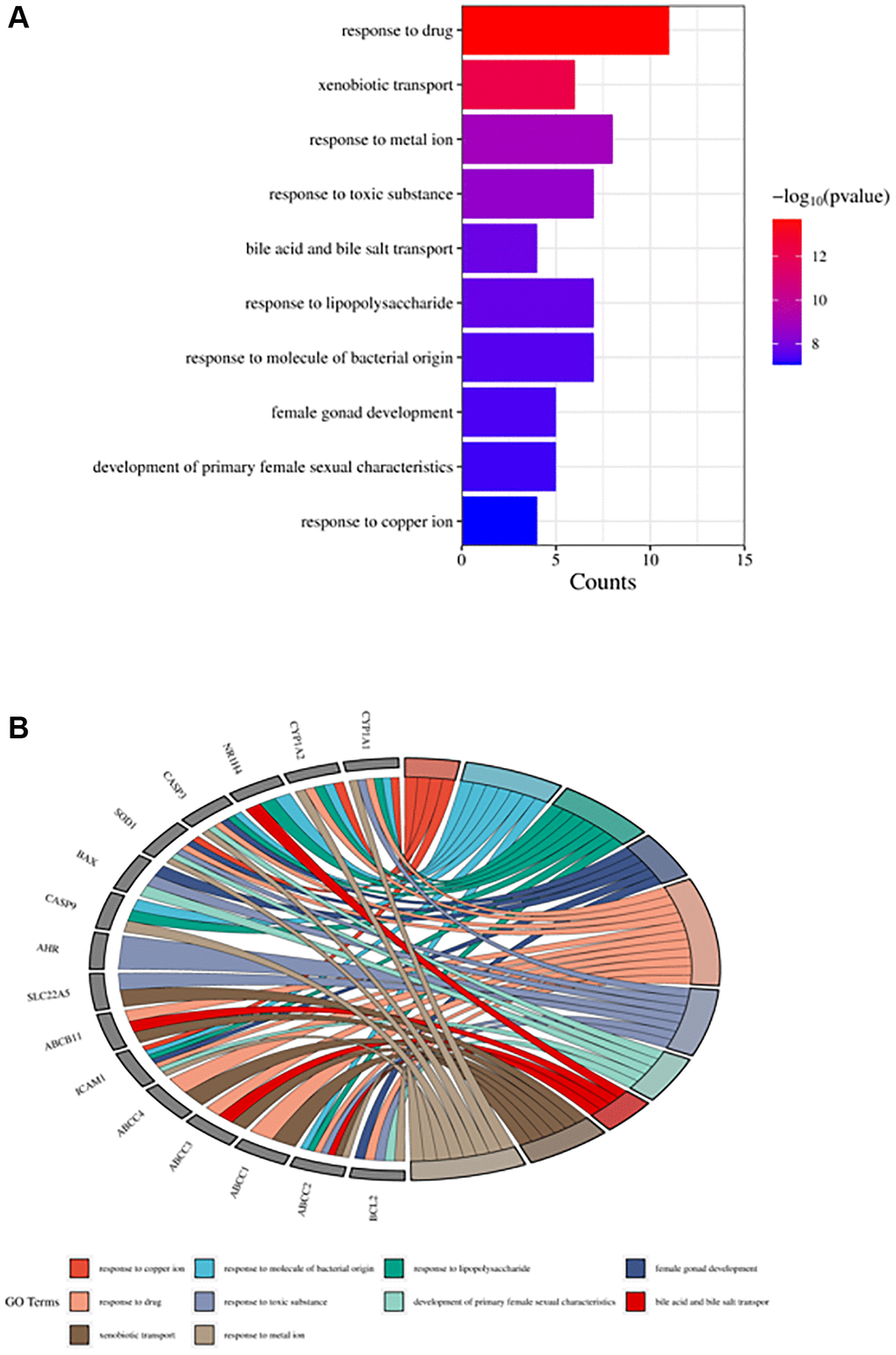 Top ten significant biological process (BP) entries. (A) GO enrichment analysis of therapeutic targets for biological processes. (B) Relationship between the therapeutic targets and biological processes.