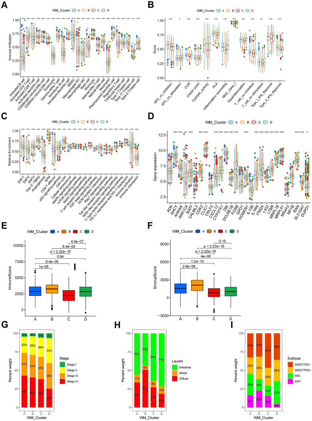 TME characteristics and clinical features of distinct RNA modification patterns. (A) Relative abundance of 24 TME infiltrating cells in four RNA modification patterns. Names of the infiltrating cells are listed at the bottom of the chart. (B) Score of functions in immune regulation of four RNA modification patterns. Immune functions are listed. (C) Relative enrichment of stromal-related, immune-related and tumor-related pathways of the four RNA modification patterns. Pathway names are listed below. (D) Expression of T cell function enhancers. Gene names of these enhancers are listed. In both the box plots of (A–D), the color of WM