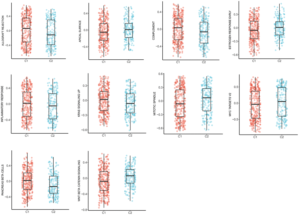 The box plots of 10 tumor-specific pathways in C1 and C2.