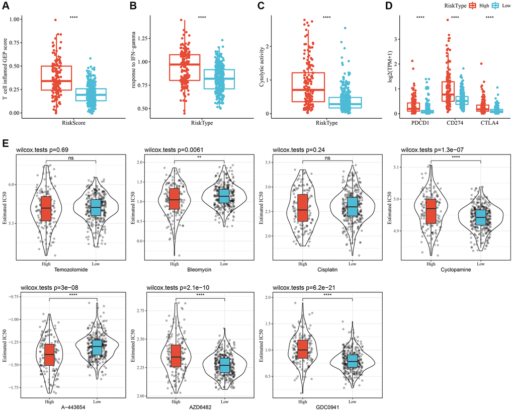 Immunological characteristics and drug sensitivities between different RiskScore groups. (A) The difference in “T cell inflamed GEP score” among various molecular subtypes. (B) The difference in “response to IFN-γ” among various molecular subtypes. (C) The difference in “Cytolytic activity” among various molecular subtypes. (D) Expression differences of immune checkpoint-associated genes among various molecular subtypes. (E) A box plot of the estimated IC50 values for temozolomide, bleomycin, cisplatin, cyclopamine, A-443654, AZD6482, and GDC0941 in TCGA-LGG. **P ****P 50: half-maximal inhibitory concentration; TCGA: The Cancer Genome Atlas; LGG: low-grade glioma.