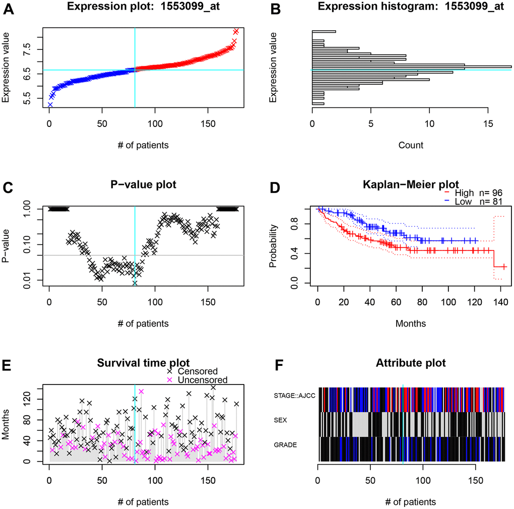 The survival and clinicopathological classifications of TIGD1 in GSE17536 cohort. (A) Expression plot. CC patients are ordered by the TIGD1 expression. Cyan lines show the optimal cutpoints that dichotomize patients into high (red) and low (blue) expression groups. (B) TIGD1 expression histogram. The line of the optimal cutpoint is also shown (cyan). (C) P-value plot of TIGD1. For each potential cutpoint of expression measurement, patients are dichotomized and survival difference between high and low expression groups is calculated by log-rank test. The cutpoint to minimize the P-value is determined and indicated by the cyan line. (D) Kaplan-Meier plot of TIGD1. Survival curves for high (red) and low (blue) expression groups dichotomized at the optimal cutpoint are plotted. 95% confidence intervals for each group are also indicated by dotted lines. (E) Survival scatter plot of TIGD1. A dot represents a CC patient (pink represent uncensored, black represent censored). (F) Heatmap of TIGD1 expression among stage, sex and grader. Black represents low expression and red represents high expression.