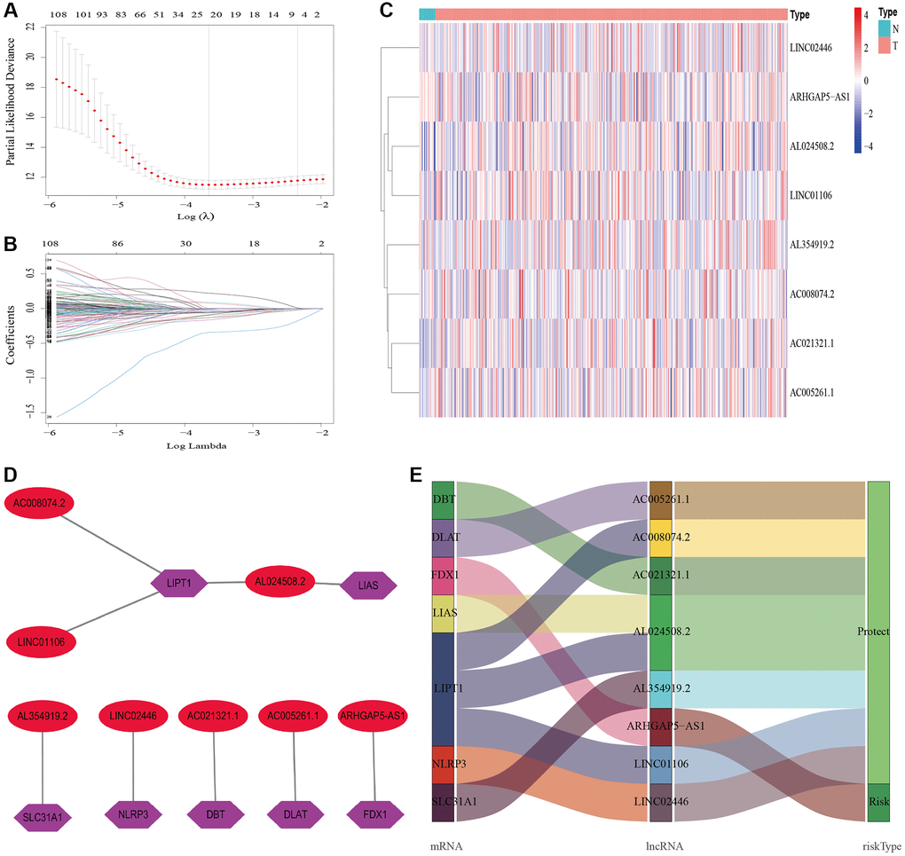 Construction of the cuproptosis-related lncRNAs predictive signature. (A) LASSO coefficient profiles of the expression of 135 lncRNAs. (B) Selection of the penalty parameter (λ) in the LASSO model via 20-fold cross-validation. (C) The expression levels of eight cuproptosis-related lncRNAs in tumor and normal tissues. (D) The co-expression network of prognostic cuproptosis-related lncRNAs. (E) Sankey diagram of prognostic cuproptosis-based lncRNAs. Abbreviations: lncRNAs: long noncoding RNAs; N: normal; T: tumor.
