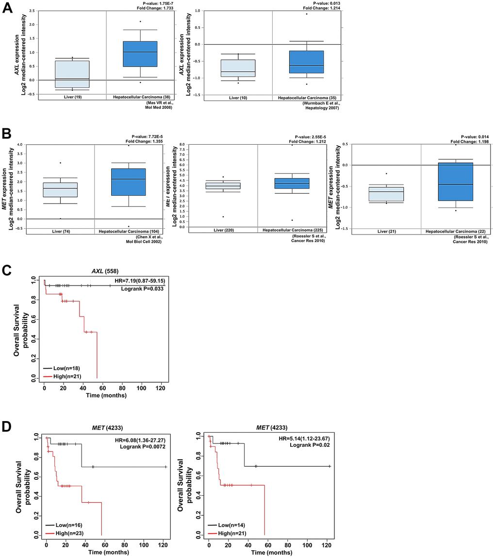 AXL and MET expression was positively associated with HCC. (A) AXL expression was positively correlated with HCC tissues and cirrhosis in the analysis of the Oncomine database (https://www.oncomine.org). (B) MET expression was significantly upregulated in HCC tissues compared with normal tissues according to the analysis of data in the Oncomine database. (C) Kaplan–Meier plot presenting the association of AXL with HCC. High expression of AXL was associated with poor overall survival in patients with HCC. (D) Kaplan–Meier plot presenting the association of MET with overall survival in patients with HCC. High expression of MET was associated with poor progression-free survival and relapse-free survival in patients with HCC.