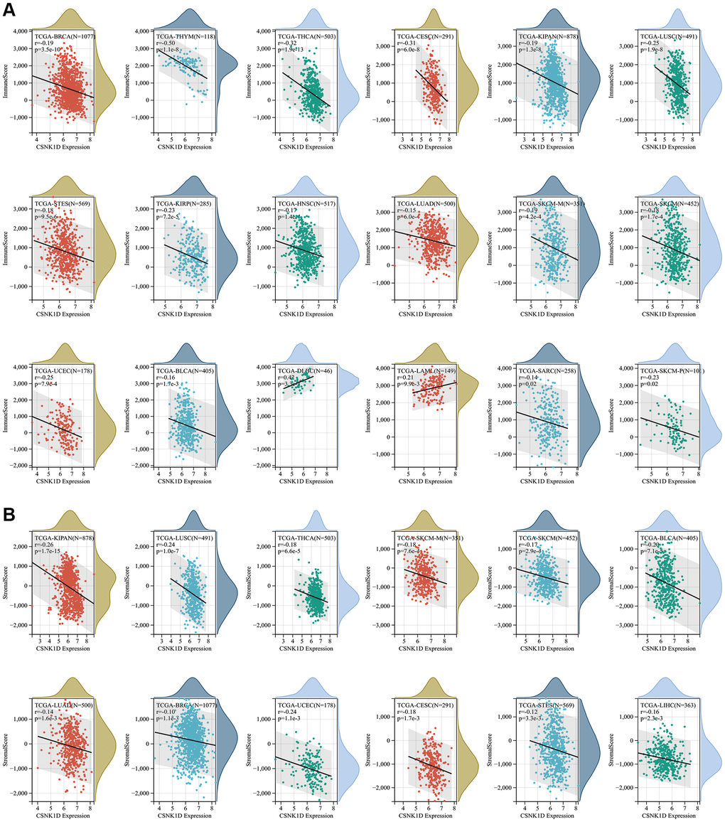 Correlation of CSNK1D expression with immune score, and stromal score in various cancers. (A) Correlation of CSNK1D expression with Immune Score. (B) Correlation of CSNK1D expression with Stromal Score.