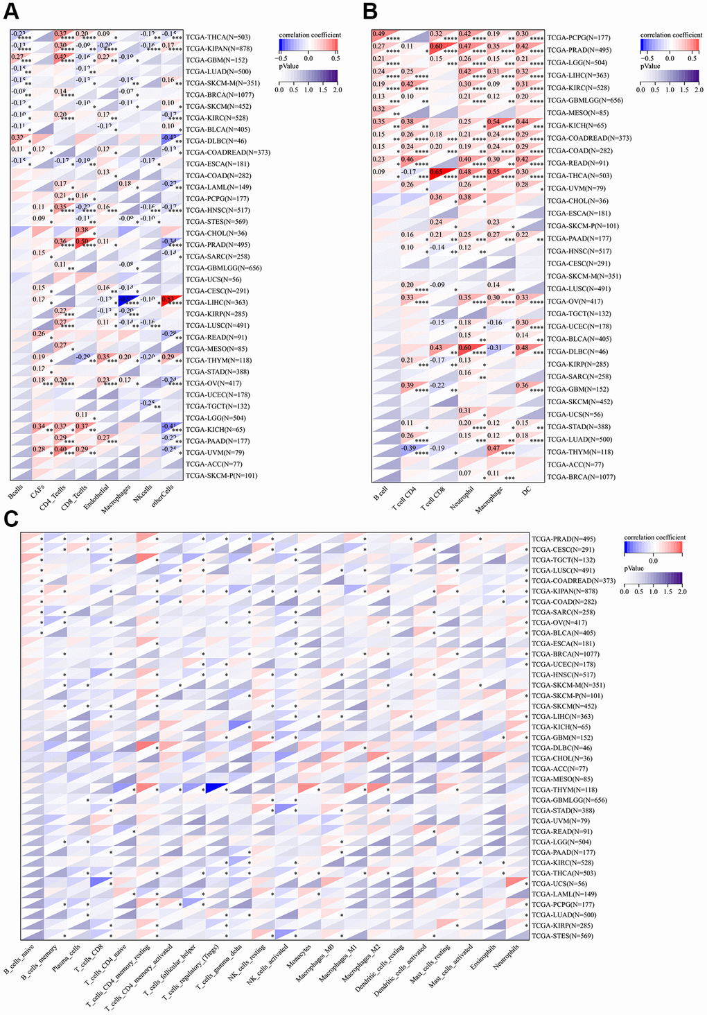 Correlation analysis between the expression of CSNK1D and immune cell infiltration. (A) The relationship between CSNK1D expression and immune cell infiltration by EPIC algorithm. (B) The relationship between CSNK1D expression and immune cell infiltration by TIMER algorithm. (C) The relationship between CDNK1D expression and immune cell infiltration by CIBERSORT algorithm. *p **p ***p ****p 