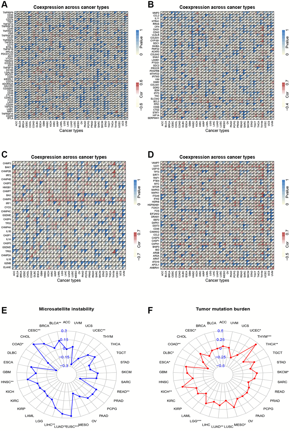 Correlation analysis. (A) Correlation analysis of CSNK1D expression and immune checkpoint inhibitors. (B) Correlation analysis between CSNK1D expression and EMT-related molecules. (C) Correlation analysis between CSNK1D expression and Pyroptosis-related molecules. (D) Correlation analysis between CSNK1D expression and Autophagy-related molecules. (E) Association between CSNK1D expression and MSI. (F) Association between CSNK1D expression and TMB. *p **p ***p ****p 