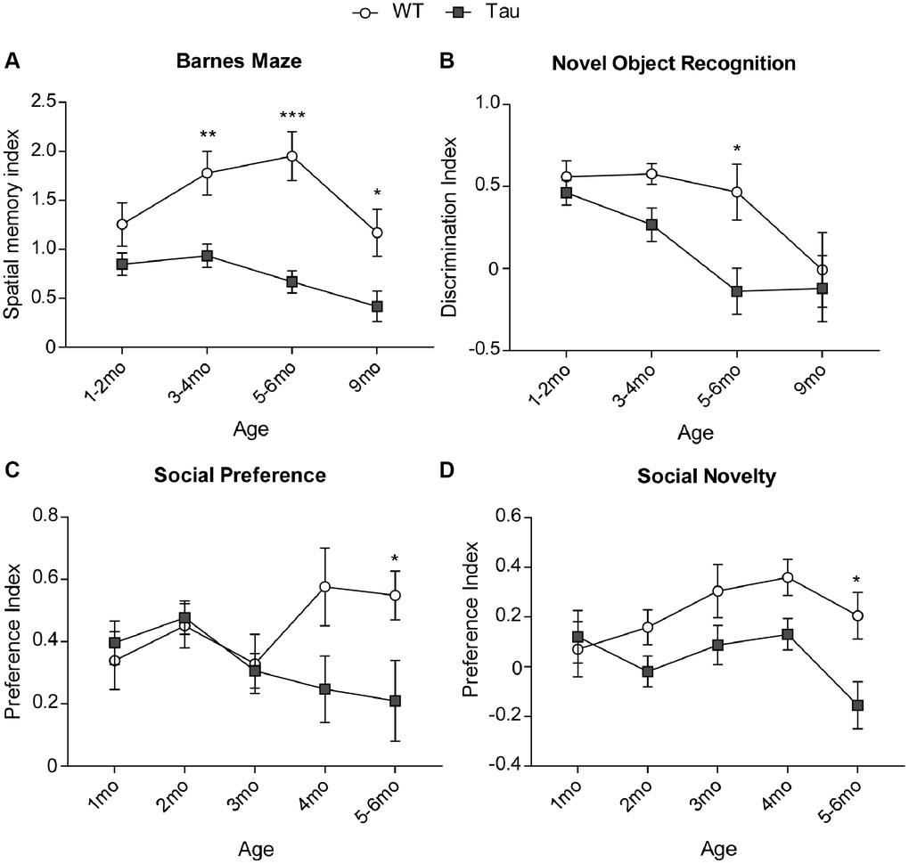 Behavioral tests showed cognitive and social deficits in P301S Tau mice at early time points. (A) Plots of spatial memory index in Barnes Maze tests of WT vs. P301S transgenic mice at different ages (n = WT/P301S: 1–2 m, 14/21; 3–4 m, 15/18; 5–6 m, 15/16, 9 m, 11/10). (B) Plots of discrimination index in Novel Object Recognition tests of WT vs. P301S transgenic mice at different ages (n = WT/P301S: 1–2 m, 14/21; 3–4 m, 15/17; 5–6 m, 17/9, 9 m, 11/9). (C) Plots of social preference index in 3-chamber sociability tests of WT vs. P301S transgenic mice at different ages (n = WT/Tau: 1 m, 8/10; 2 m, 13/17; 3 m, 9/13; 4 m, 7/6; 5–6 m, 9/9). (D) Plots of social novelty index in social cognition tests of WT vs. P301S transgenic mice at different ages (n = WT/Tau: 1 m, 8/10; 2 m, 14/18; 3 m, 9/13; 4 m, 7/6; 5–6 m, 9/9). *p **p ***p 