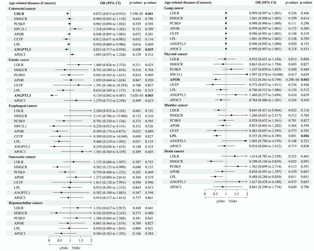 Causal effects of the genetically proxied lipid-lowering drug targets on cancers. The forest plot showed the estimated effects of 1 mmol/L lower LDL-C or TG concentration by target-specific variants in each drug target gene on cancers, using the IVW method. OR and 95% CI indicated the effect estimates of a 1mmol/L change of circulating lipids on outcomes.