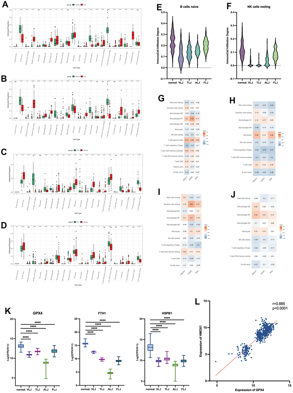 Immunological and Ferroptosis characteristics of liver injury (A) immune infiltration analysis of VLJ. (B) immune infiltration analysis of TLJ. (C) immune infiltration analysis of ALJ. (D) immune infiltration analysis of FLJ. (E) Decrease in naive B cells of liver injury. (F) Decrease in resting NK cells of liver injury. (G) Correlation between the key targets and the degree of immune cell in VLJ. (H) Correlation between the key targets and the degree of immune cell in TLJ. (I) Correlation between the key targets and the degree of immune cell in ALJ. (J) Correlation between the key targets and the degree of immune cell in FLJ. (K) Expression of GPX4, FTH1 and HSPB1 in liver injury. (L) Correlation between expression of GPX4 and HMOX1.
