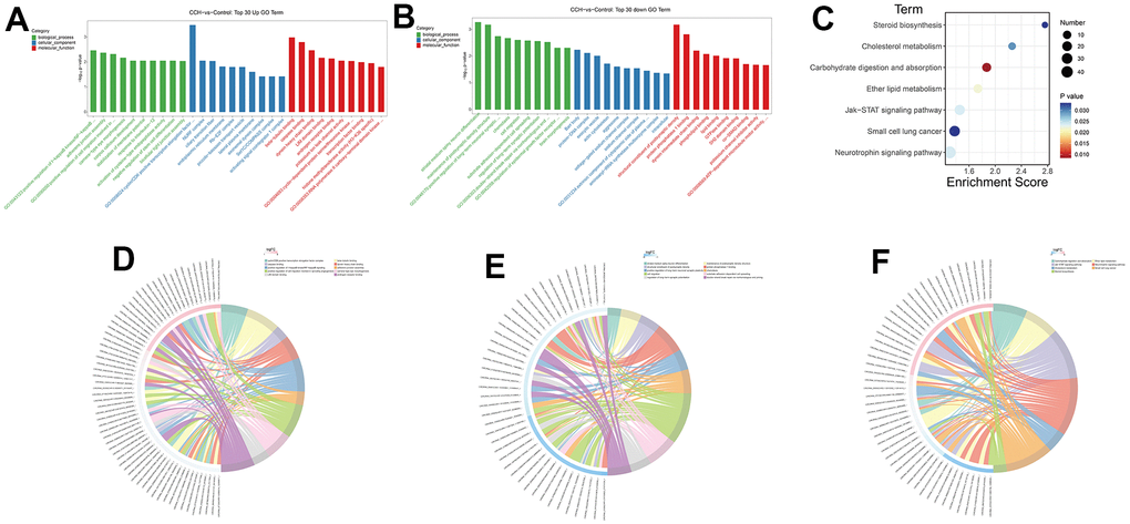 GO and KEGG enrichment analysis of DE mRNAs. Through a hypergeometric algorithm, the DE mRNAs were enriched on different GO terms and KEGG pathways. (A) Top 30 GO terms with upregulated DE mRNAs. (B) Top 30 GO terms with downregulated DE mRNAs. (C) enriched KEGG pathways. (D) The chord diagram showed the corresponding relationship between upregulated GO enrichment terms and related DE circRNAs. (E) The chord diagram showed the corresponding relationship between downregulated GO enrichment terms and related DE circRNAs. (F) The chord diagram showed the corresponding relationship between KEGG pathways and related DE circRNAs. [(Con group, n=3), (2VO group, n=3)].