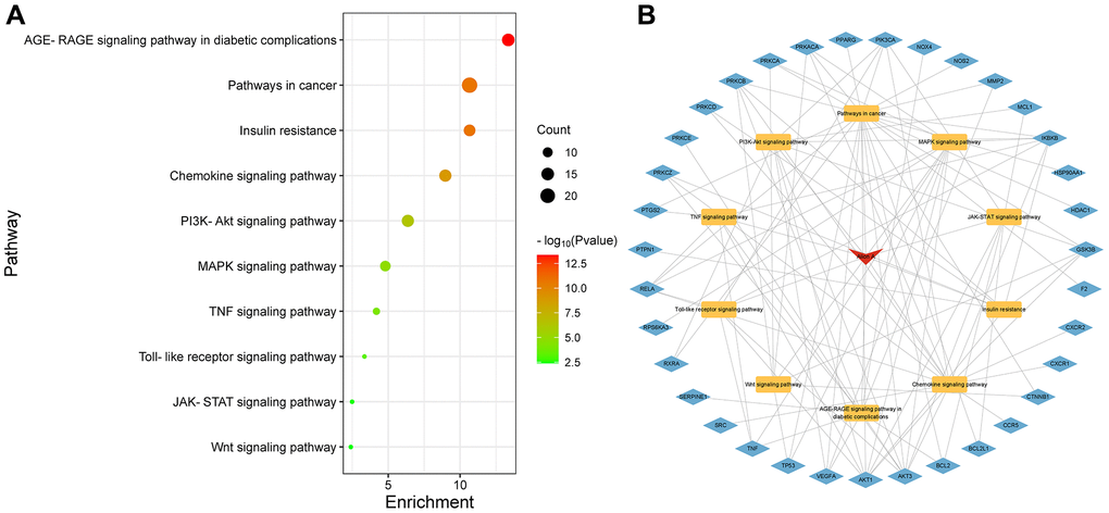 Kyoto Encyclopedia of Genes and Genomes (KEGG) enrichment analysis. (A) KEGG enrichment analysis. The Y-axis represents KEGG pathways. The X-axis indicates the enrichment p-value. (B) Drug-Pathway-Target construction. The red represents drug. The yellow represents related pathway. The blue represents related target genes.