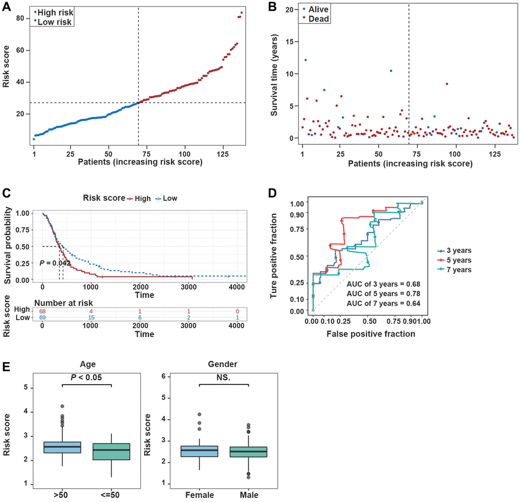 Validation of the prognostic model in the validation dataset. (A, B) Risk plot distribution in the validation dataset. (C, D) The K-M survival curve and the ROC curve in the validation dataset. (E) Box plot of correlation between risk score and clinical features (Age and Gender).