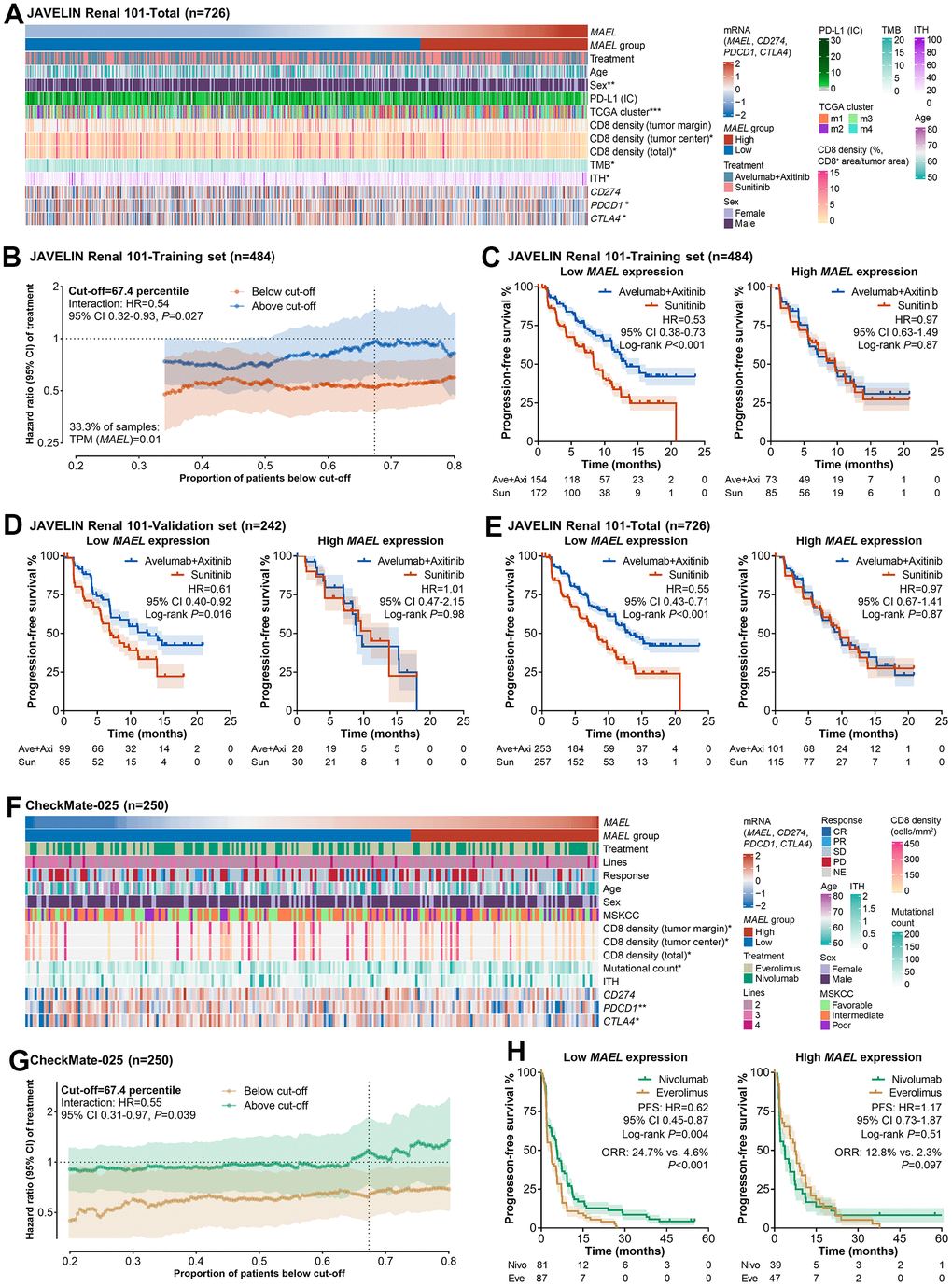 MAEL expression predicts the benefit from ICI-based immunotherapies over VEGFR/mTOR inhibitors in advanced/metastatic ccRCCs. (A) Heatmap illustrating MAEL expression and clinicopathological features of the JAVELIN Renal 101 cohort. (B) The associations of the cut-off value with the treatment effect in the above- and the below-cut-off groups in the training set of the JAVELIN Renal 101 cohort. (C–E) The treatment effect (avelumab plus axitinib vs. sunitinib) in the low and the high MAEL expression groups in the training set (C), the validation set (D), and the total set (E) of the JAVELIN Renal 101 cohort. (F) Heatmap illustrating MAEL expression and clinicopathological features of the CheckMate-025 cohort. (G) The associations of the cut-off value with the treatment effect in the above- and the below-cut-off groups of the CheckMate-025 cohort. (H) The treatment effect (nivolumab vs. everolimus) in the low and the high MAEL expression groups of the CheckMate-025 cohort. Abbreviations: CI=confidence interval, CR=complete response, HR=hazard ratio, IC=immune cell, ITH=intratumoral heterogeneity, NE=not evaluable, ORR=objective response rate, PD=progressive disease, PD-L1=programmed cell death-ligand 1, PR=partial response, SD=stable disease, TCGA=The Cancer Genome Atlas, TMB=tumor mutational burden.