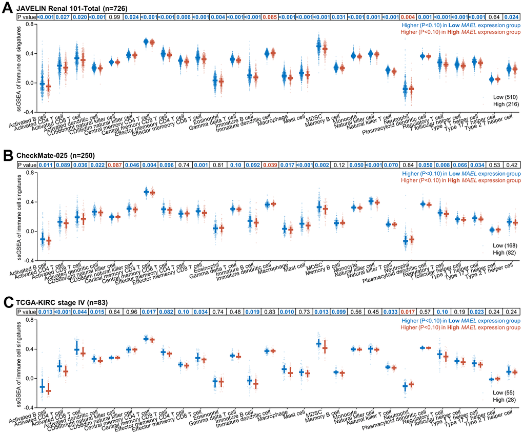 Association between MAEL expression and immune cell signatures in advanced/metastatic ccRCCs. (A–C) Association between MAEL expression and immune cell signatures in the JAVELIN Renal 101 cohort (A), the CheckMate-025 cohort (B), and the stage IV ccRCC patients in the TCGA-KIRC cohort (C). Abbreviations: MDSC=myeloid-derived suppressor cell, TCGA-KIRC=The Cancer Genome Atlas-Kidney Renal Clear Cell Carcinoma.