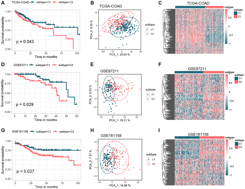 Identification of GM molecular subtypes in CRC. (A–C) K-M analysis, PCA analysis, and heatmap between subtype C1 and subtype C2 in the TCGA-COAD cohort. (D–F) K-M analysis, PCA analysis, and heatmap between subtype C1 and subtype C2 in the GSE87211 cohort. (G–I) K-M analysis, PCA analysis, and heatmap between subtype C1 and subtype C2 in the GSE161158 cohort. Abbreviations: GM: gut microbes; CRC: colorectal cancer; K-M: Kaplan-Meier; PCA: principal component analysis.