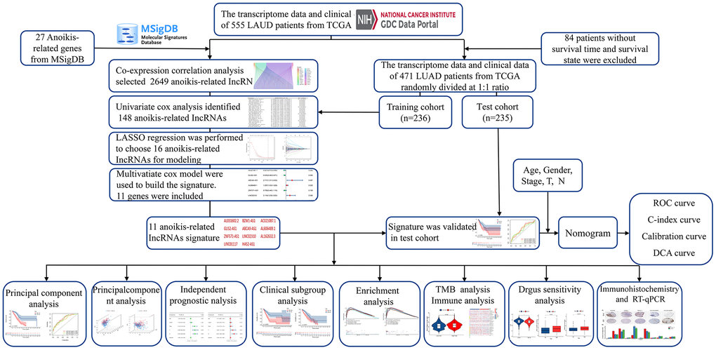 Overall flow diagram of the study.