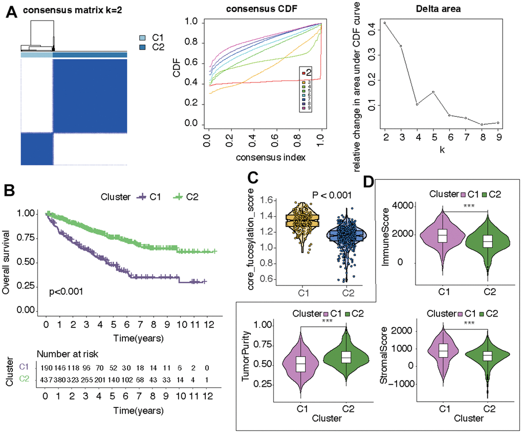 Identification of two CF-related KIRC subtypes. (A) Subtype distinguishment, (B) survival curves, (C) CF state, and (D) TME estimation of the two KIRC subtypes.