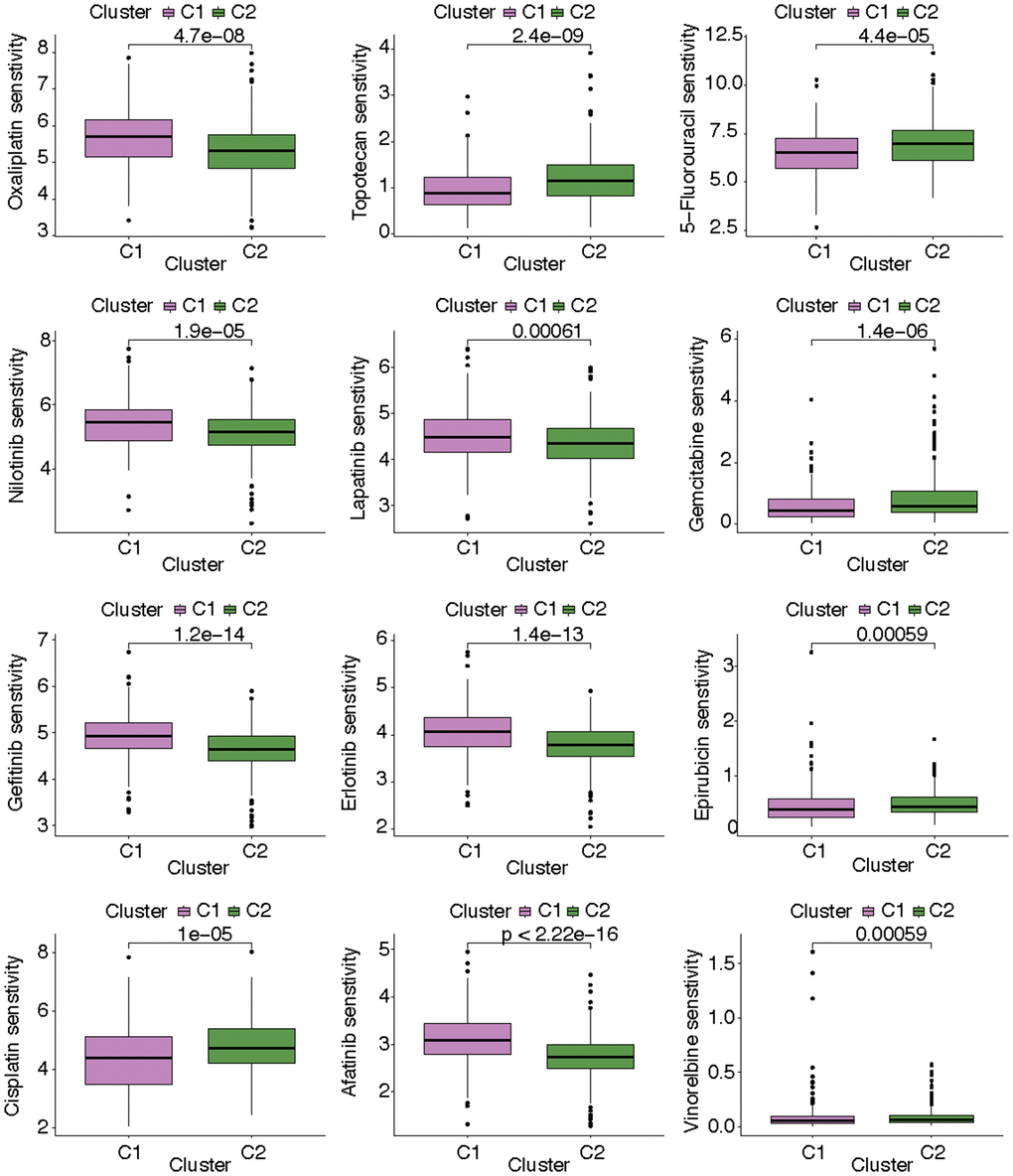 The discrepancies of drug sensitivity in the two KIRC subtypes.