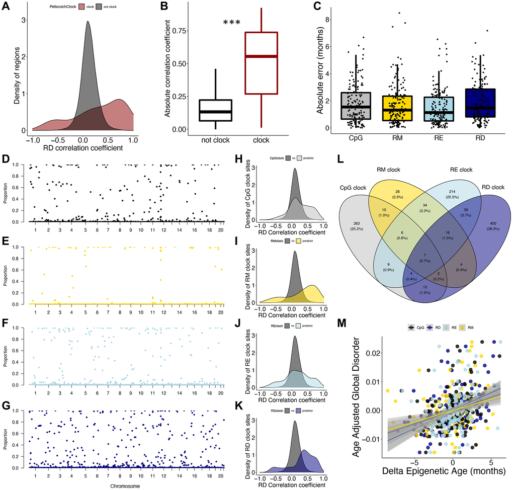 Epigenetic disorder underlies epigenetic clock signals. (A) Distribution of Petkovich epigenetic clock sites (red) across correlation coefficients between regional disorder (RD) and age. (B) Average absolute correlation coefficient between RD and age of regions which are included in the Petkovich epigenetic clock (red) compared to those which are not included. (C) Error of epigenetic age estimates produced by leave-one-out cross validation (LOOCV) for each data type. (D–G) Manhattan plots showing the robustness for each region (i.e., the proportion of clocks each region was selected in) across (D) CpG methylation (black), (E) regional methylation (RM; yellow), (F) regional entropy (RE; light blue), and (G) RD (dark blue) contexts. (H–K) Density plots showing the distribution of clock sites for each data type across correlation coefficients between RD and age. (L) Overlap between regions included in epigenetic clocks produced from each data type. (M) Relationship between delta epigenetic age (chronological age – predicted age) and age-adjusted global disorder for each data type.