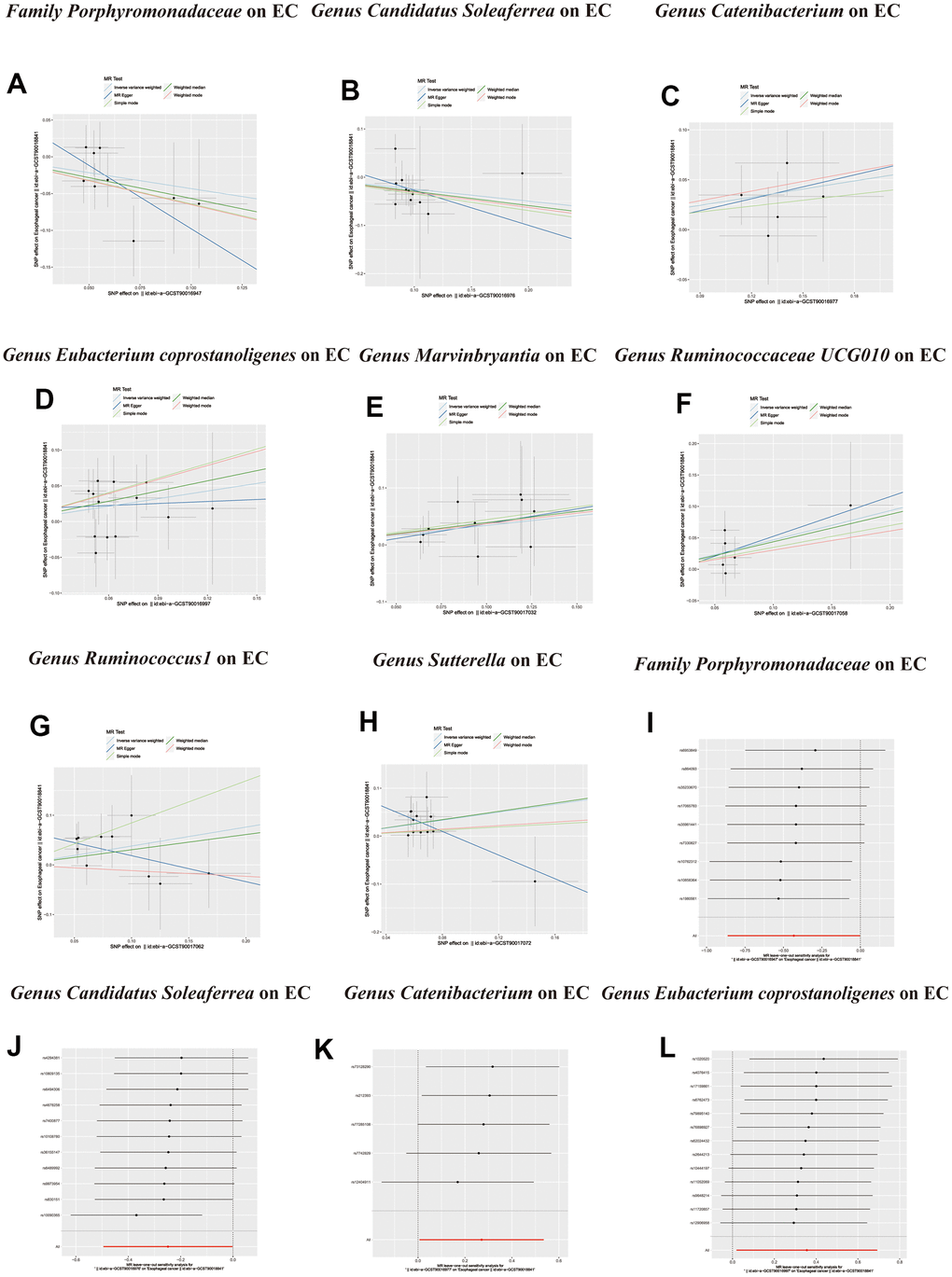 Scatter plots of significant causality of the GM and esophageal cancer. (A–H) Scatter plot of the effect size and 95% confidence interval of each SNP on GM and Esophageal cancer risk. The horizontal axis reflects genetic effect of each SNP on GM. The vertical axis represents the genetic effect of each SNP on Esophageal cancer risk. Leave-one-out analysis for the impact of individual SNPs on the association between GM and Esophageal cancer risk. (I–L) By leaving out exactly one SNP, it demonstrates how each individual SNP influences the overall estimate.